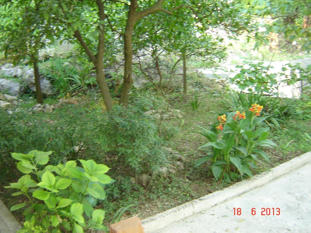 Apartments Dobrisa Котор Екстер'єр фото
